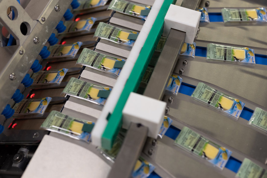 Die niederländische Familienmarke Vepo Cheese setzt auf eine vollauto-matisierte Produktionslinie: Zwei KR AGILUS Hygieneroboter von KUKA verarbeiten Käse zu Sticks und führen sie einer Verpackungsmaschine zu